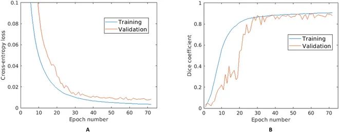 AwnImageAnalysisandPhenotypingUsingBarbNet使用BarbNet進行芒的圖像分析和表型分析