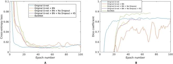 AwnImageAnalysisandPhenotypingUsingBarbNet使用BarbNet進行芒的圖像分析和表型分析